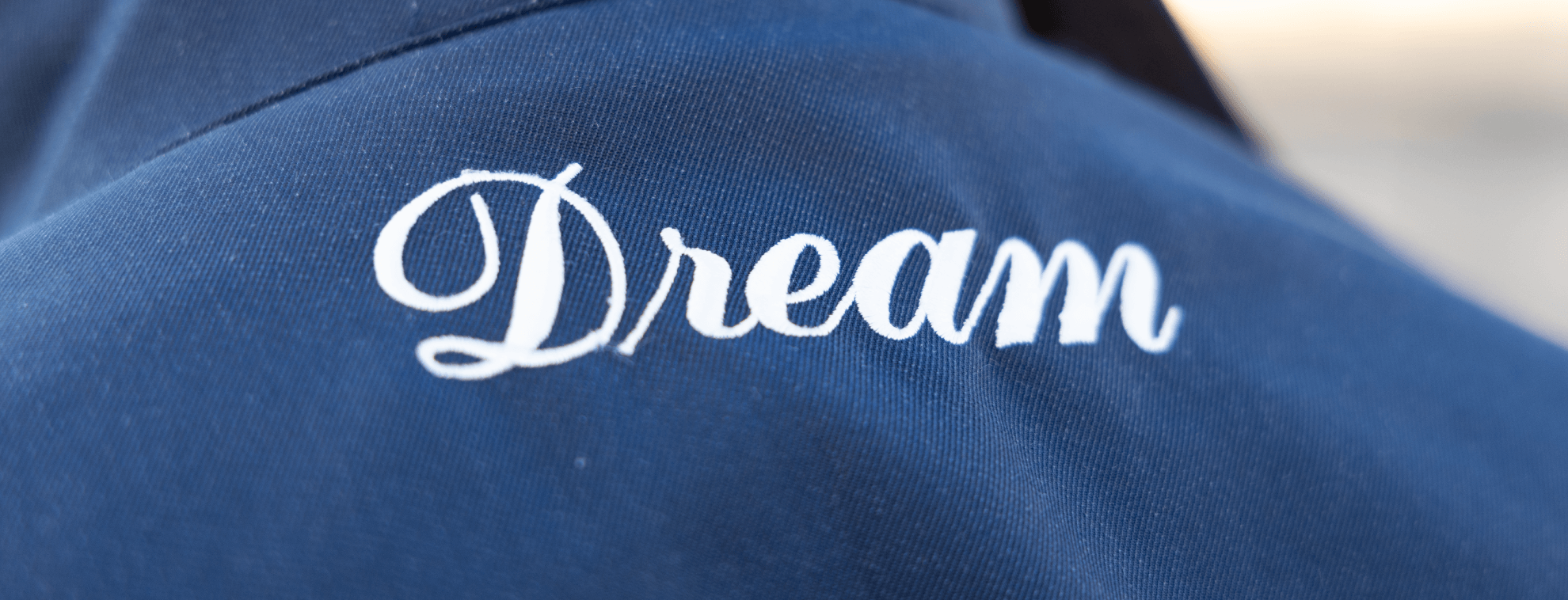 ドリームエキスプレスのヘッダースライド02